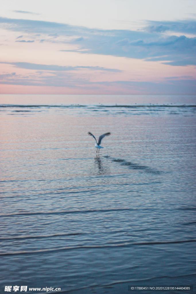 海边