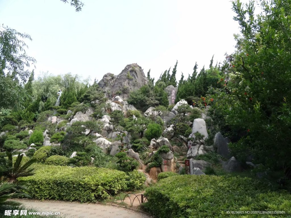 山石