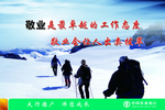 企业文化