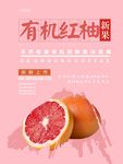 红柚海报