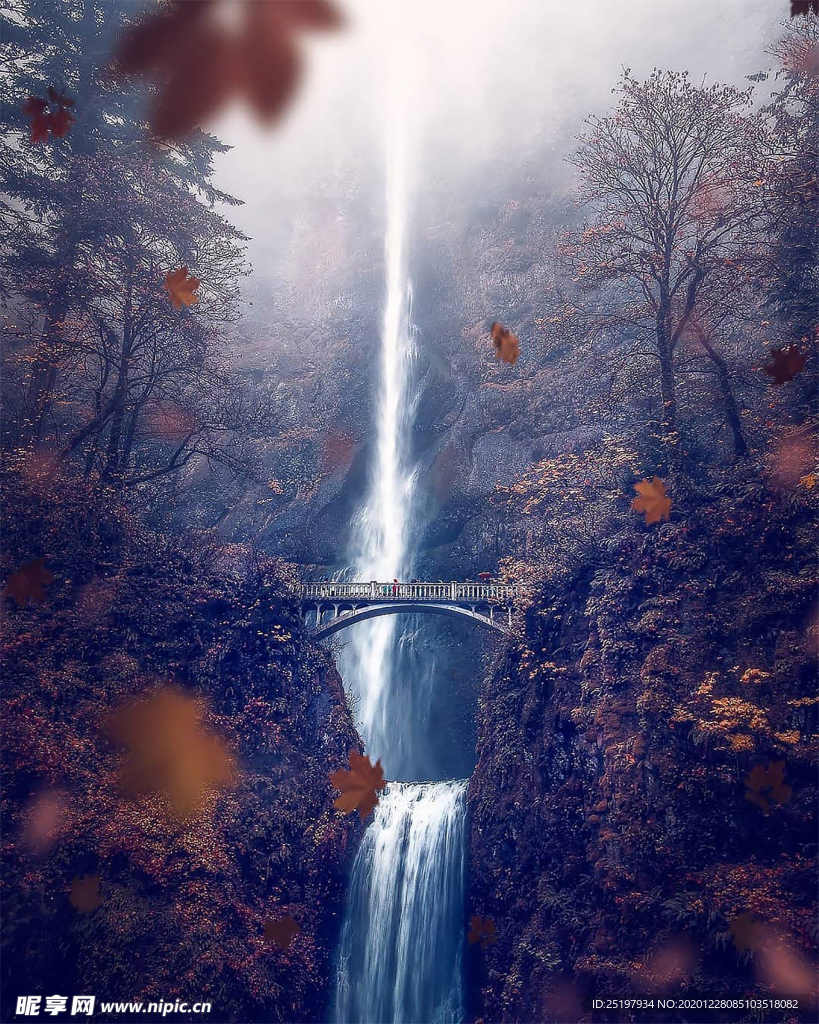 风景