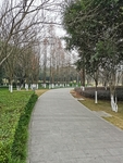 公园风景