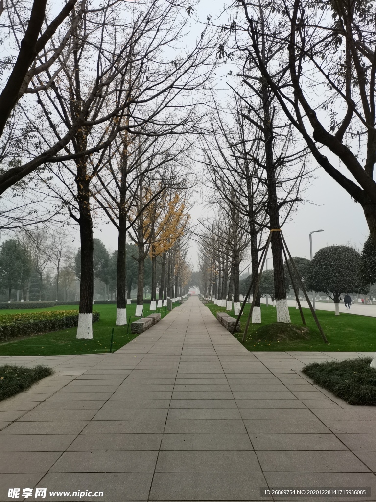 公园风景