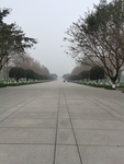公园风景
