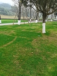 公园风景