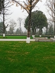 公园风景