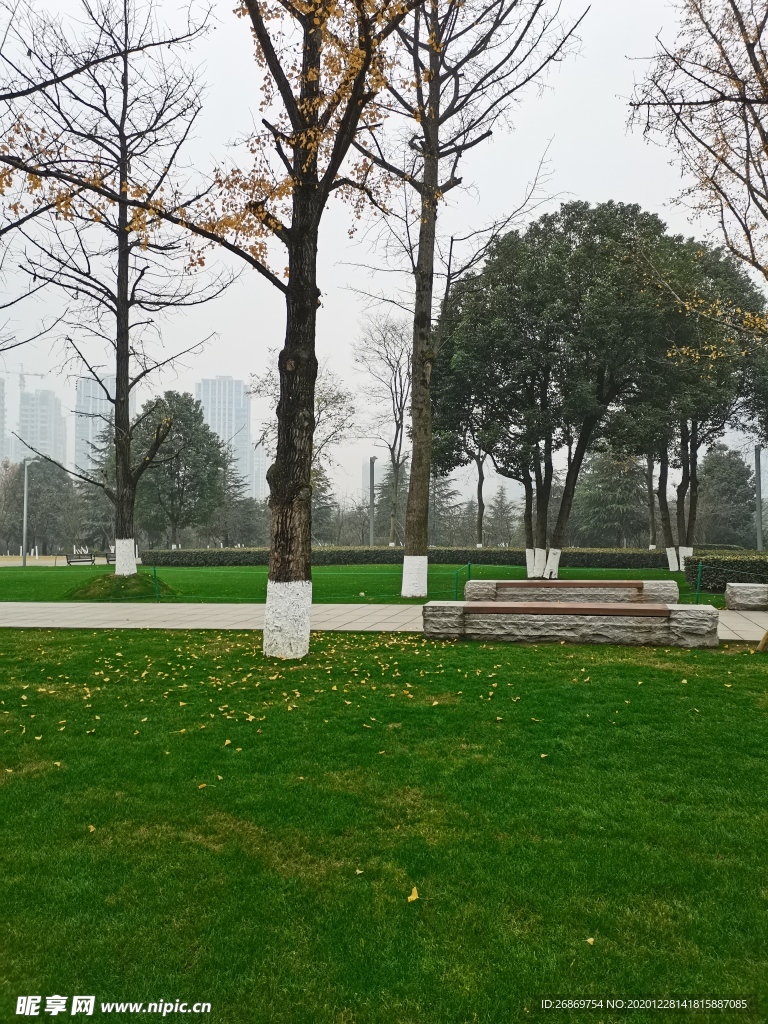 公园风景