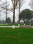 公园风景