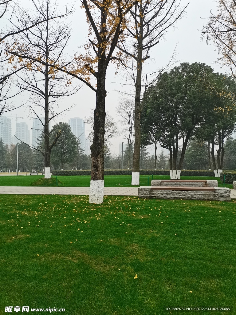 公园风景
