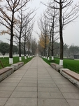 公园风景