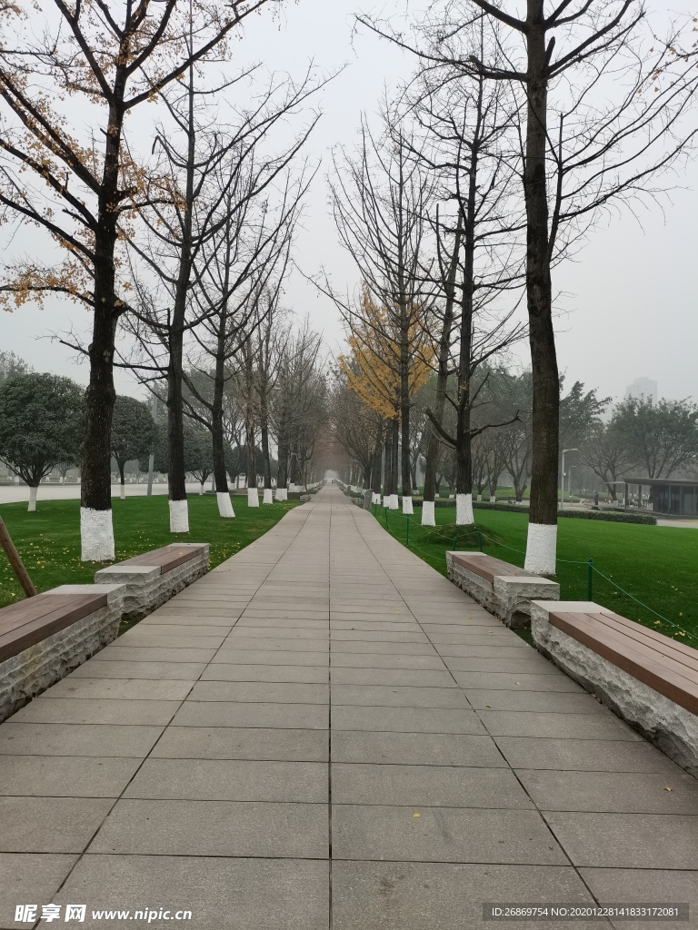 公园风景