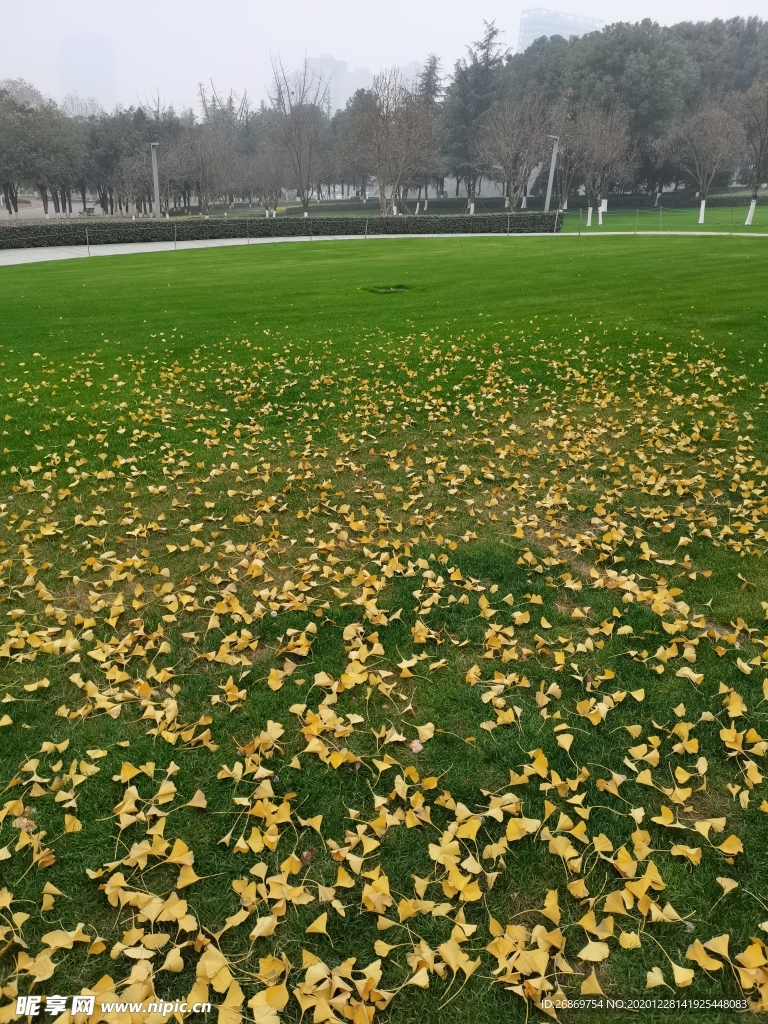 公园风景