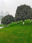 公园风景