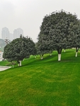 公园风景