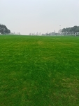 公园风景