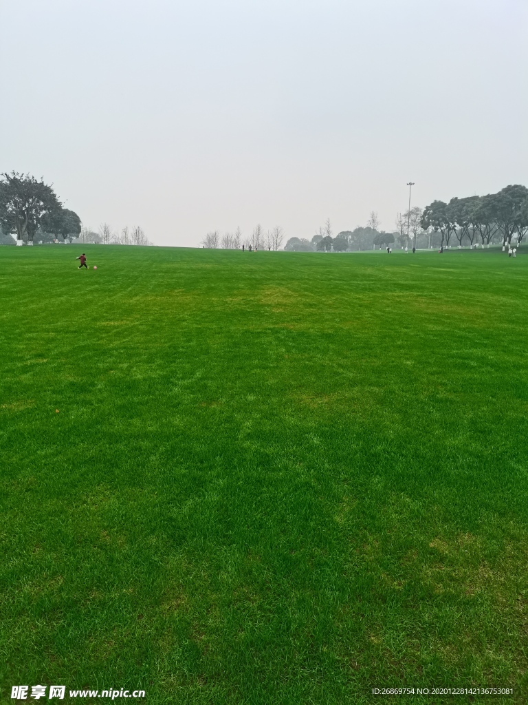 公园风景
