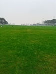 公园风景