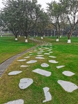 公园风景