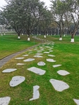 公园风景