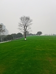 公园风景