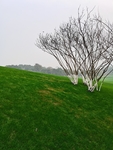 公园风景