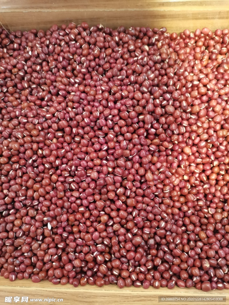 小红豆