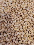 黄豆豆子豆类