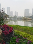 公园风景高楼湖泊
