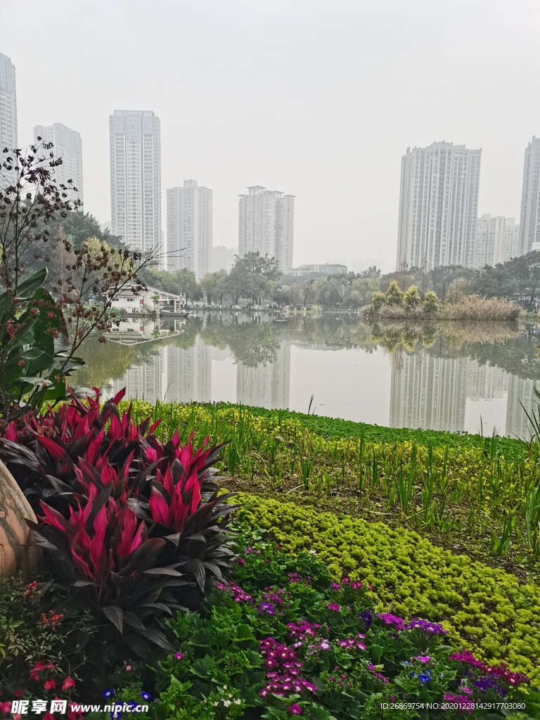 公园风景高楼湖泊