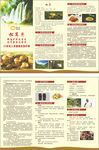 松茸片