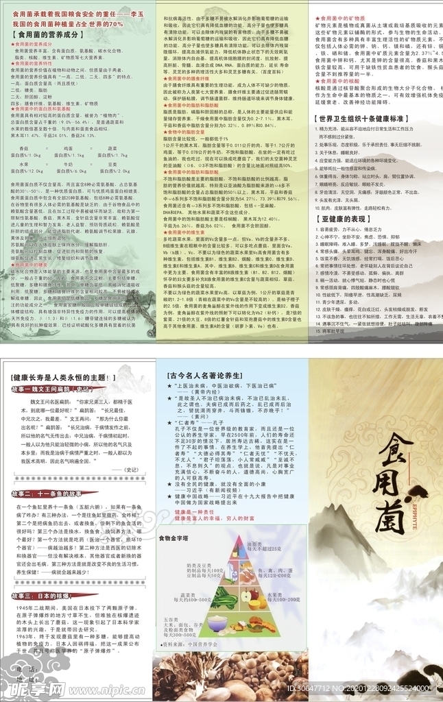 化妆品彩页