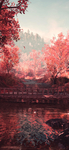 风景   图片