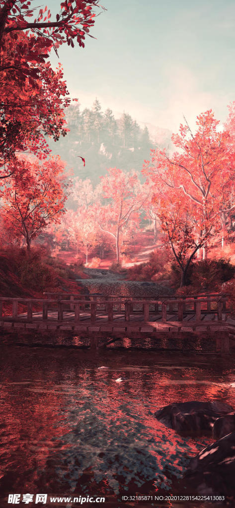 风景   图片
