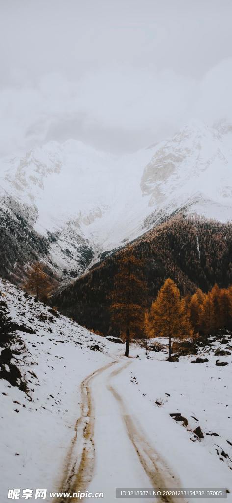 雪景图片