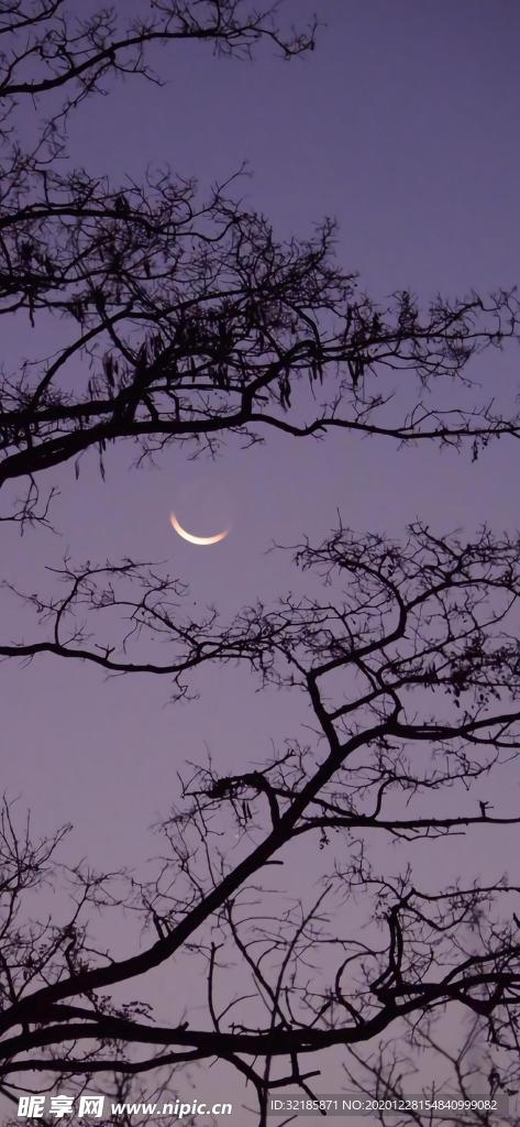 唯美夜景图
