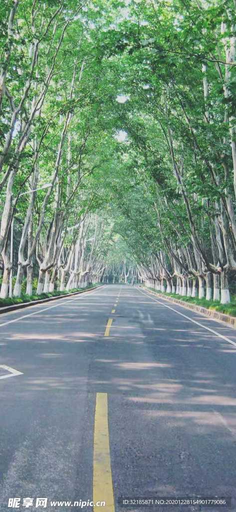 唯美 公路 图片