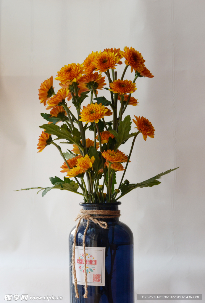 花瓶插花橙色黄色雏菊花束静物