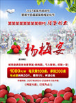 杨梅宴