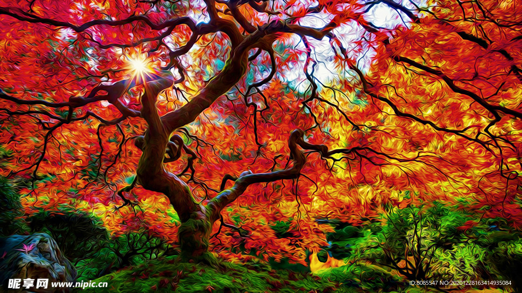 枫树风景油画