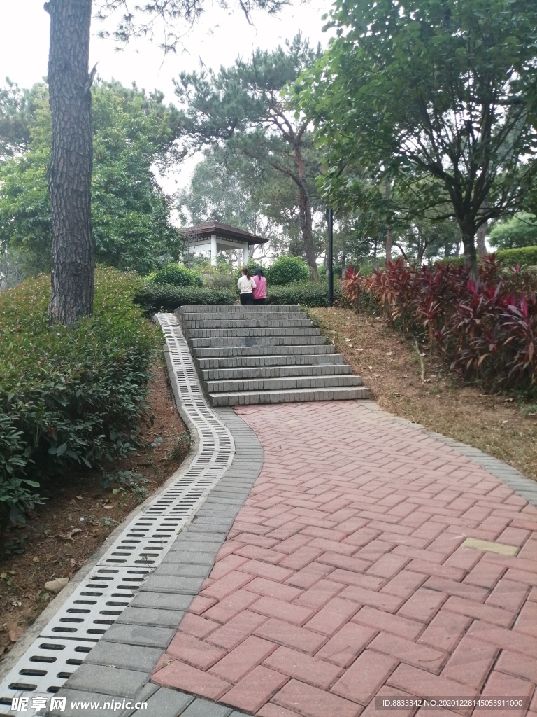 公园