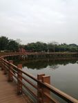 公园