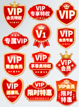 等级图标VIP图标APP电商标