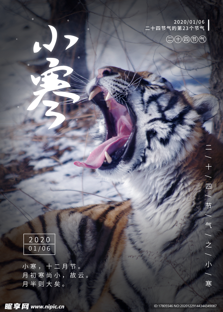 小寒海报 小寒素材 冰雪素材