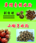 紫檀手串海报
