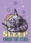 卡通猫