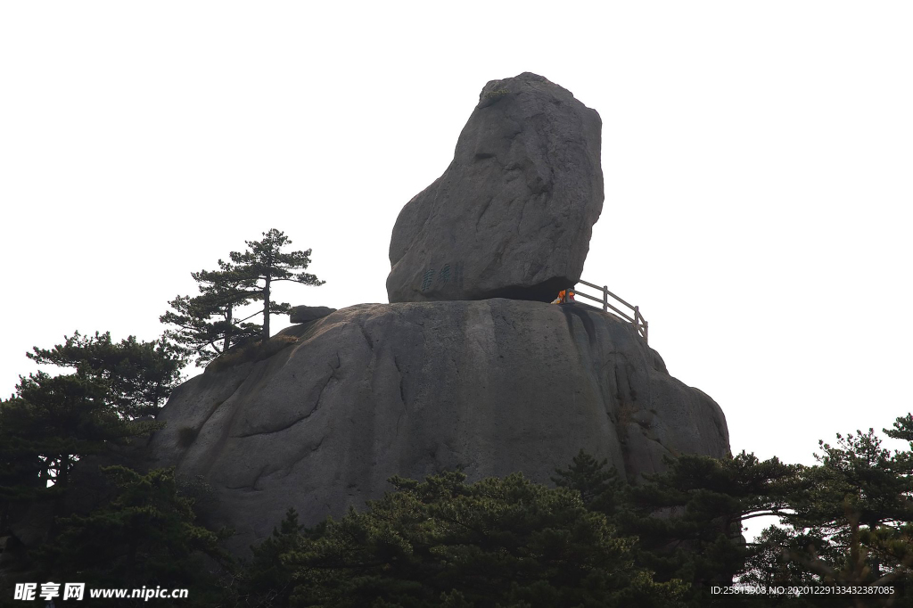 黄山奇松