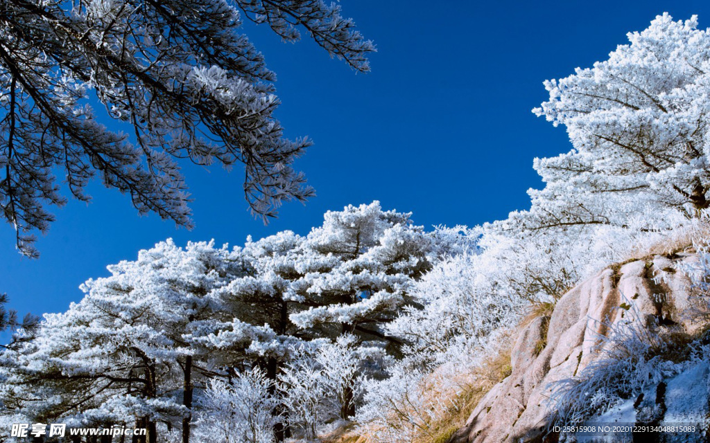 黄山雾凇
