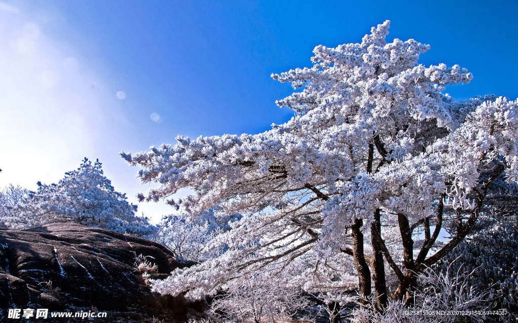 黄山雾凇