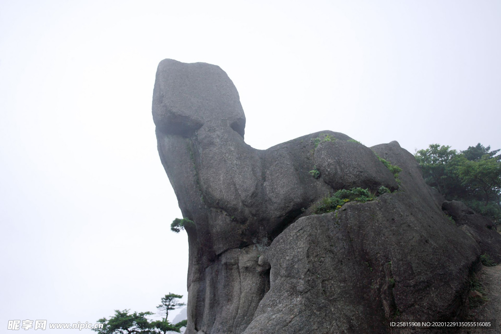 黄山