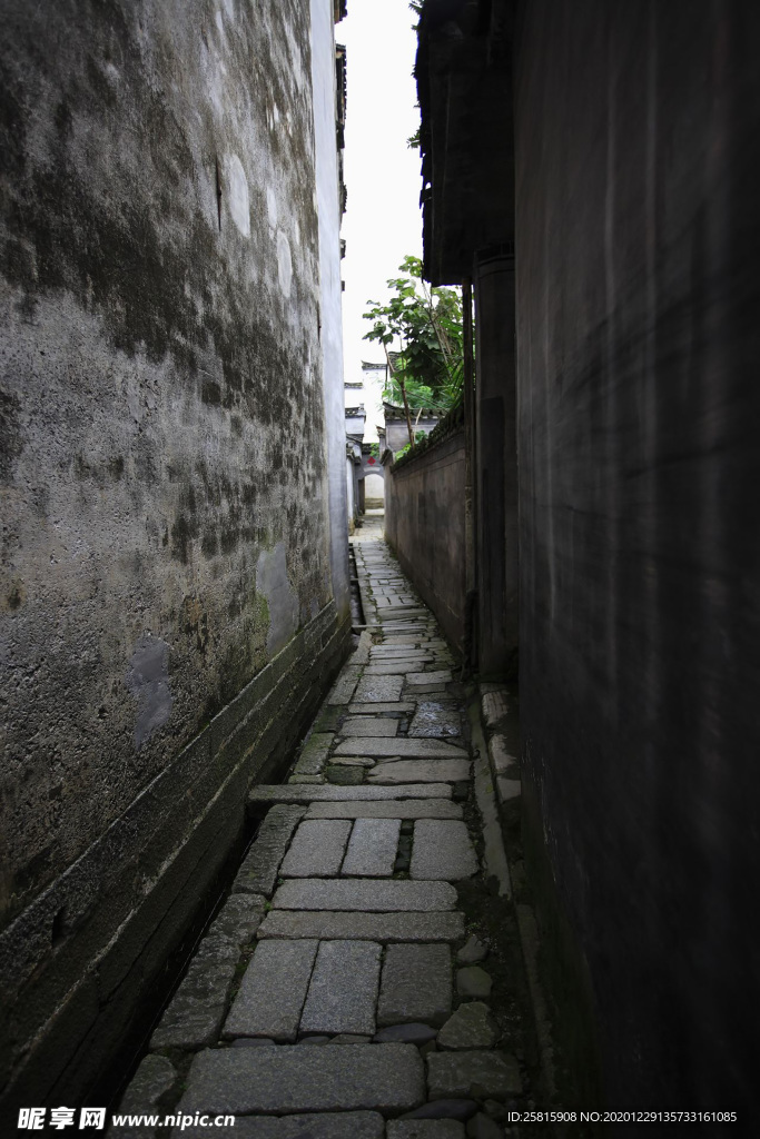 西递